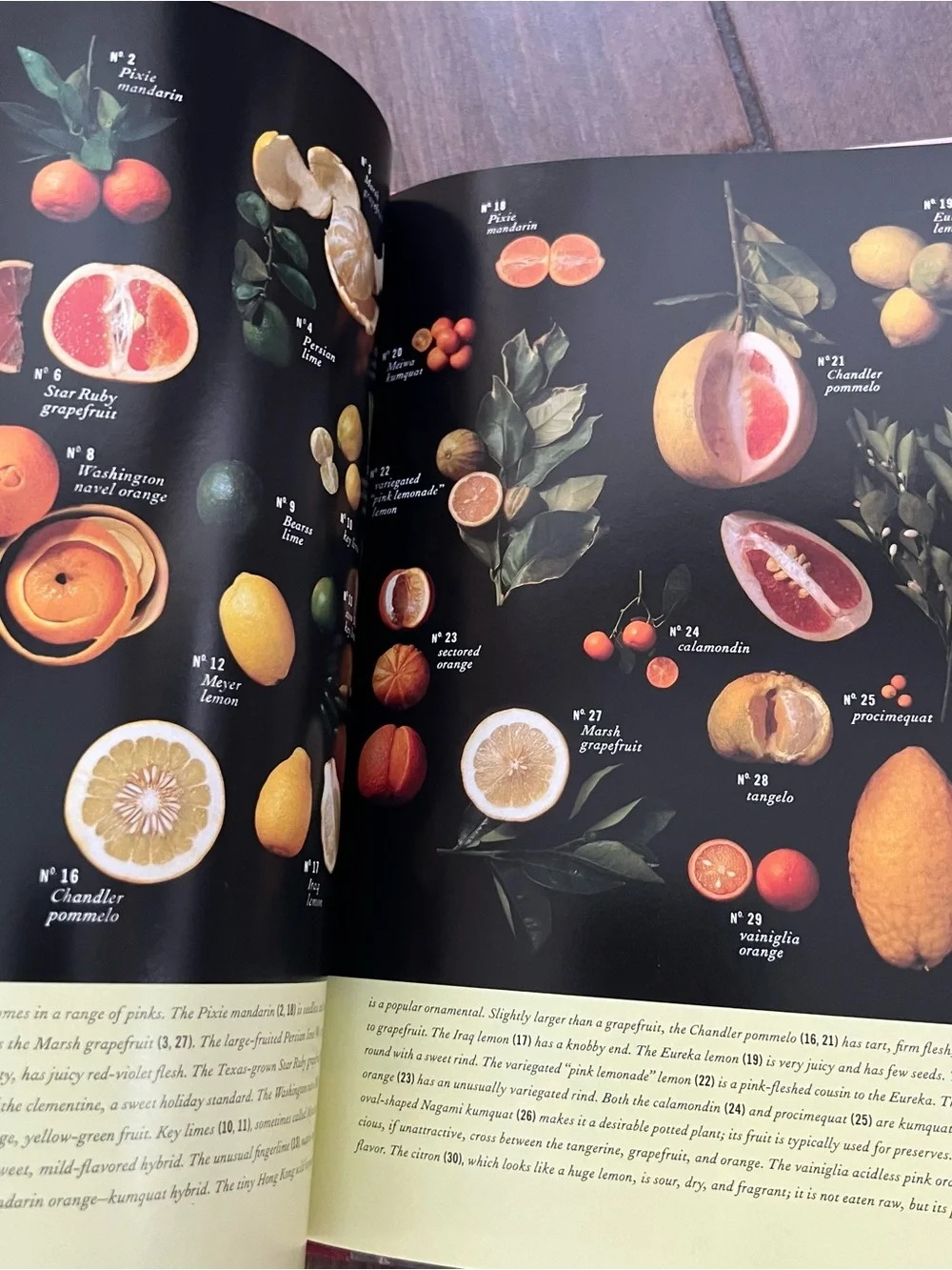 Christmas with Martha Stewart Classic Crafts & Recipes for the Holidays